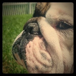 Meet your Posher, Mike